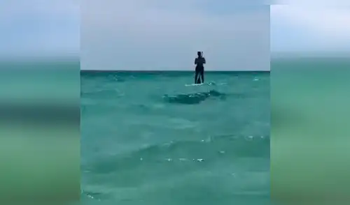 YouTube viral: extraño animal emerge del mar y bañistas quedan aterrados con su aspecto [VIDEO] 