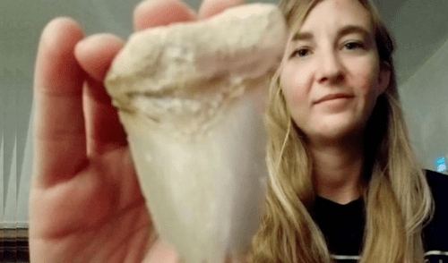 La joven norteamericana envió las fotografías de su hallazgo a especialistas de la Universidad de Florida, quien confirmaron que la pieza se trataba de un fósil. (Foto: Difusión) La joven norteamericana envió las fotografías de su hallazgo a especialistas de la Universidad de Florida, quien confirmaron que la pieza se trataba de un fósil. (Foto: Difusión)