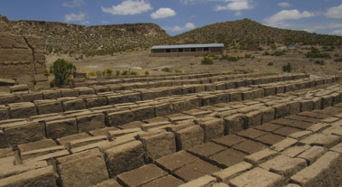 Tacna: Instalan cobertizos en anexos de Palca para proteger a camélidos Tacna: Instalan cobertizos en anexos de Palca para proteger a camélidos