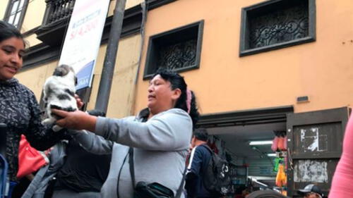 Albergue que defiende los derechos de los animales tomó fotografías a las personas que venden cachorros en jr. Ayacucho. Créditos: Facebook.