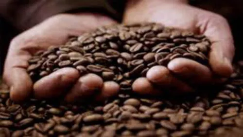 Cafetaleros colombianos piden ayuda al gobierno ante caída de los precios en Nueva York