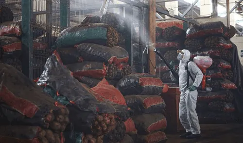 mercado papas