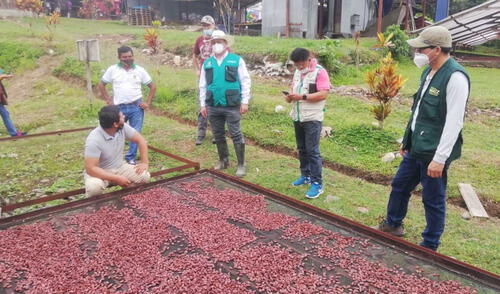 El turista podrá vivir el proceso que se realiza en la producción del cacao