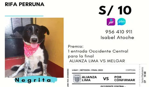 Negrita se encuentra a la espera de los donativos. Foto: difusión