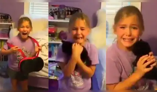Facebook: niña se emociona hasta las lágrimas cuando le regalaron un gatito [VIDEO]