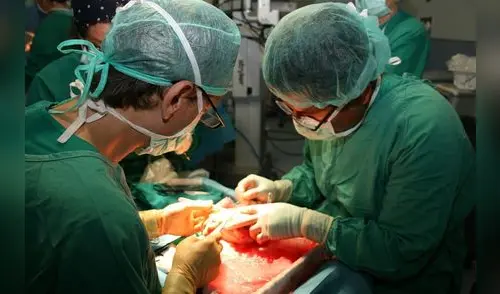 Médicos de EsSalud salvaron a más de 7 mil asegurados con trasplantes de órganos Médicos de EsSalud salvaron a más de 7 mil asegurados con trasplantes de órganos