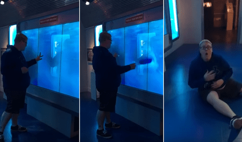 YouTube: quiso llamar la atención de un ‘tiburón’ y se llevó el susto de su vida [VIDEO]