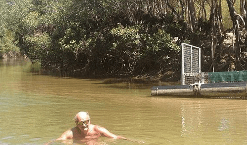 Se tomó esta foto para impresionar a sus nietos, pero corrió riesgo mortal