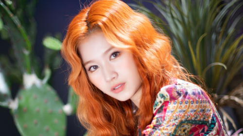 More & More: Sana More & More: Sana