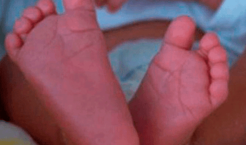 Los Olivos: mujer asfixió a su hija y luego intentó suicidarse Los Olivos: mujer asfixió a su hija y luego intentó suicidarse