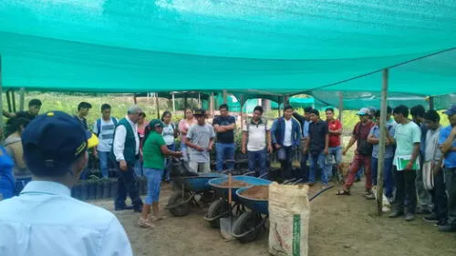 Productores de café se capacitan en el manejo del guano como abono Productores de café se capacitan en el manejo del guano como abono