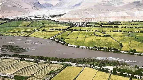 daños. Afluente duplicó caudal y se desbordó, afectando cultivos. Hay 10 puntos críticos a lo largo del río Majes - Camaná.