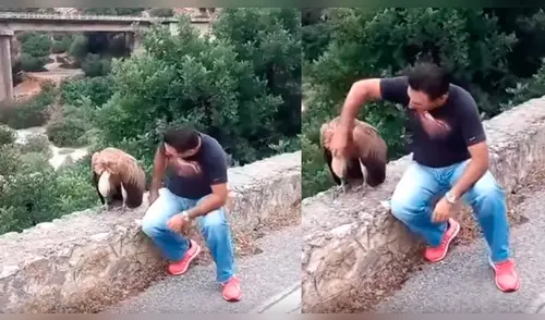 YouTube: hombre consuela a 'triste' buitre en la carretera, su historia te conmoverá [VIDEO]