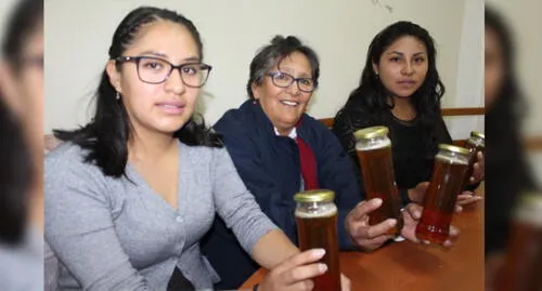 Arequipa: Alumnas lograron primera producción de miel de abeja de la Unsa [FOTOS]