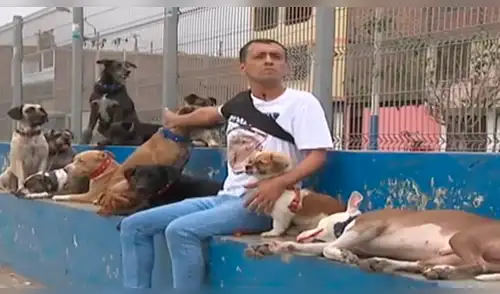 Envenenan a las nueve mascotas del ‘‘Domador de perros’’ [VIDEO]