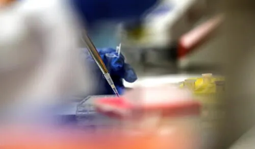 Laboratorio