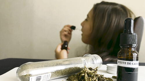 alivio. Farmacias y boticas podrán entregar cannabis medicinal.