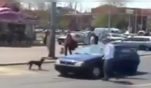 Vía YouTube: perro callejero le da terrible lección a chofer que le toca el claxon [VIDEO]