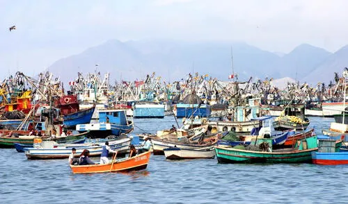 Pescador artesanal vs. pesca artesanal