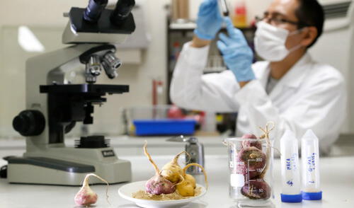 Conoce las cifras de la Investigación y el Desarrollo en el Perú