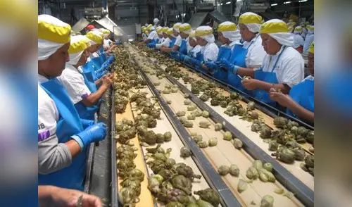 1,5 millones de nuevos empleos generó actividad exportadora