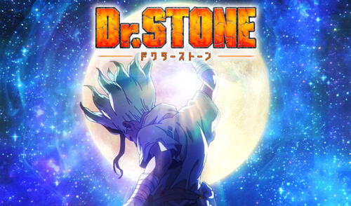 Dr. Stone