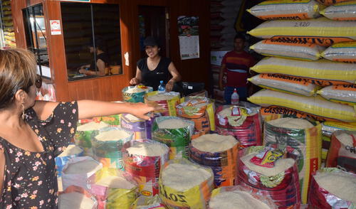 Producción de arroz estaría garantizada pese a lluvias en el norte