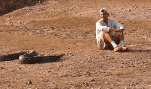 YouTube:Joven se arriesga y molesta a gigantesca serpiente cuando ocurre lo menos pensado