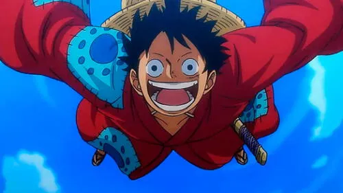 One Piece 896