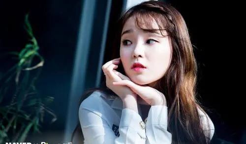 Seung Hee es vocalista del grupo K-pop Oh My Girl. En 2015, participó en el dorama "Loss: Time: Life".