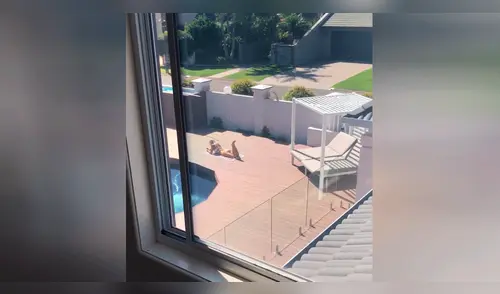 Facebook Viral: Su novia tomaba sol y extraño hace algo inesperado [VIDEO]