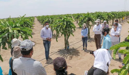 Agricultores del Valle Viejo de Olmos afectados por el recorte de agua. Foto: Archivo Peot Agricultores del Valle Viejo de Olmos afectados por el recorte de agua. Foto: Archivo Peot