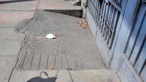 rampas para cocheras invaden veredas