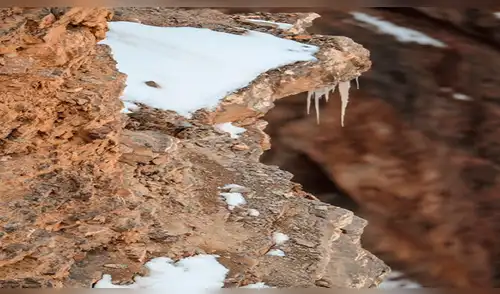 Facebook: el reto del leopardo, un viral que muy pocos han podido resolver [FOTO]