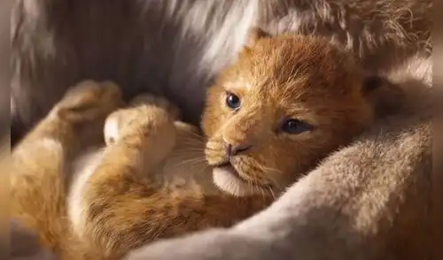 Disney revela trailer de la versión de acción real de El Rey León (VIDEO)