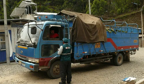 Ayacucho: Senasa retoma inspección de frutos infectados con mosca de la fruta Ayacucho: Senasa retoma inspección de frutos infectados con mosca de la fruta