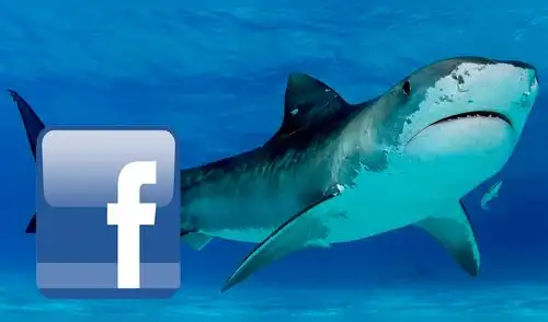 Facebook: ‘Tiburón’ hace el #KikiChallenge y asombra a todos en las redes [VIDEO]