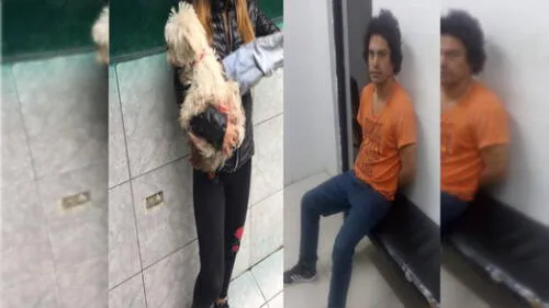 Sujeto agrede a enamorada y acuchilla a mascota Sujeto agrede a enamorada y acuchilla a mascota