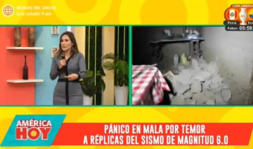 Alvina Ruiz compartió algunas recomendaciones, que le dio un experto, sobre cómo reaccionar ante un sismo. Foto: captura de América TV