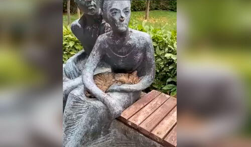 TikTok viral: gato extrañaba ser acariciado y se duerme en los brazos de una estatua