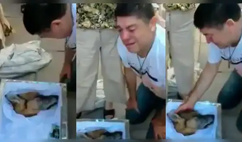 Facebook: hombre llora desconsoladamente cuando vela a su mejor amigo canino [VIDEO]
