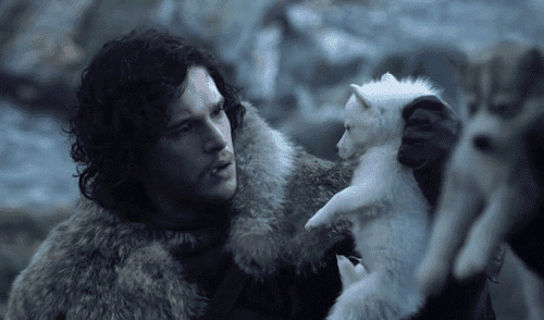 Google Translate: "Jon Snow" es nueva 'víctima' del traductor [FOTOS]
