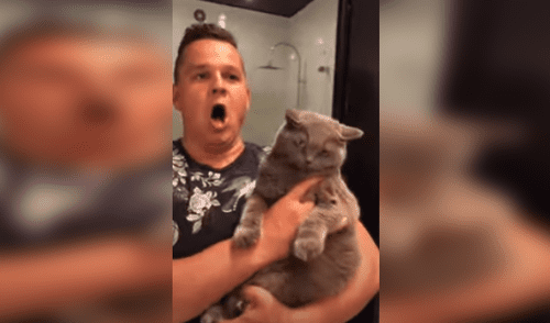 Hombre muestra su insólito ‘truco’ para lograr que su gato no esté enojado [VIDEO]