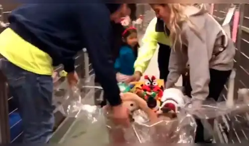 Facebook: Perros de un albergue fueron sorprendidos con increíbles regalos [VIDEO]