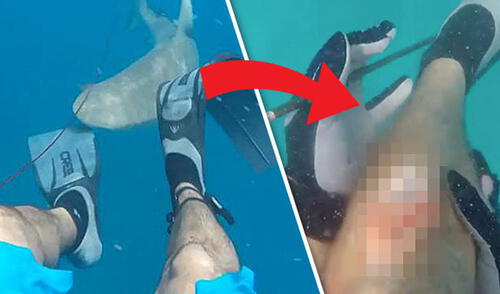YouTube: Hombre grabó el doloroso ataque de tiburón en playa de EE.UU.