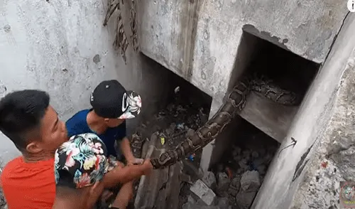 Desliza hacia la izquierda para ver las imágenes del video viral. Foto: Usuario/YouTube. Youtube viral: Oyen raros sonidos en casa abandonada y serpientes salen del interior