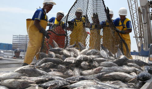 Pescadores reiteran que nuevos derechos de pesca reducirán sus ingresos