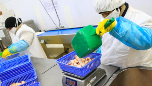 Foto: Produce Foto: Produce