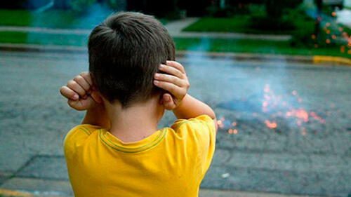 Buscan restringir pirotecnia que afecte a niños autistas y mascotas en Buenos Aires Buscan restringir pirotecnia que afecte a niños autistas y mascotas en Buenos Aires