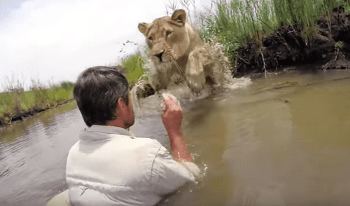 YouTube: Leona reconoce al hombre que le salvó la vida y sorprende con su reacción